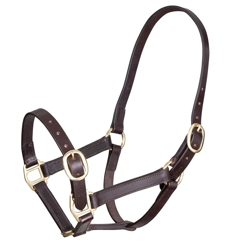 Velociti Gara Adjustable Leather Foal Halter - Havana