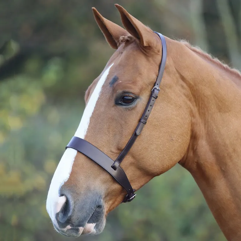Velociti GARA Hunter Cavesson Noseband - Brown