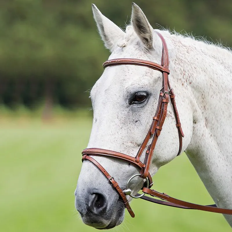 Shires Avignon Padded Raised Flash Bridle - Oak-1