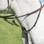 Shires Avignon Running Martingale - Havana