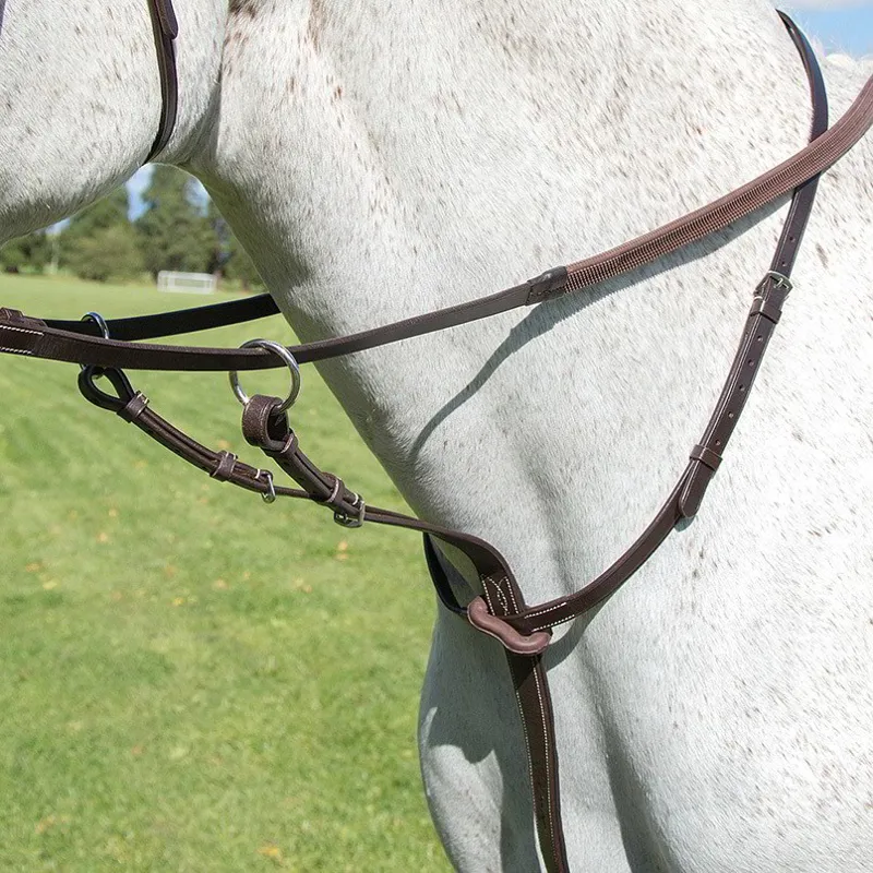 Shires Avignon Running Martingale - Havana-1
