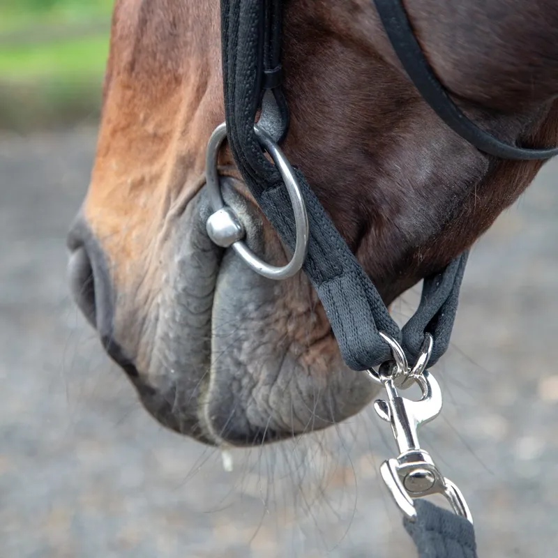 Shires Lunging Adapter - Black-1