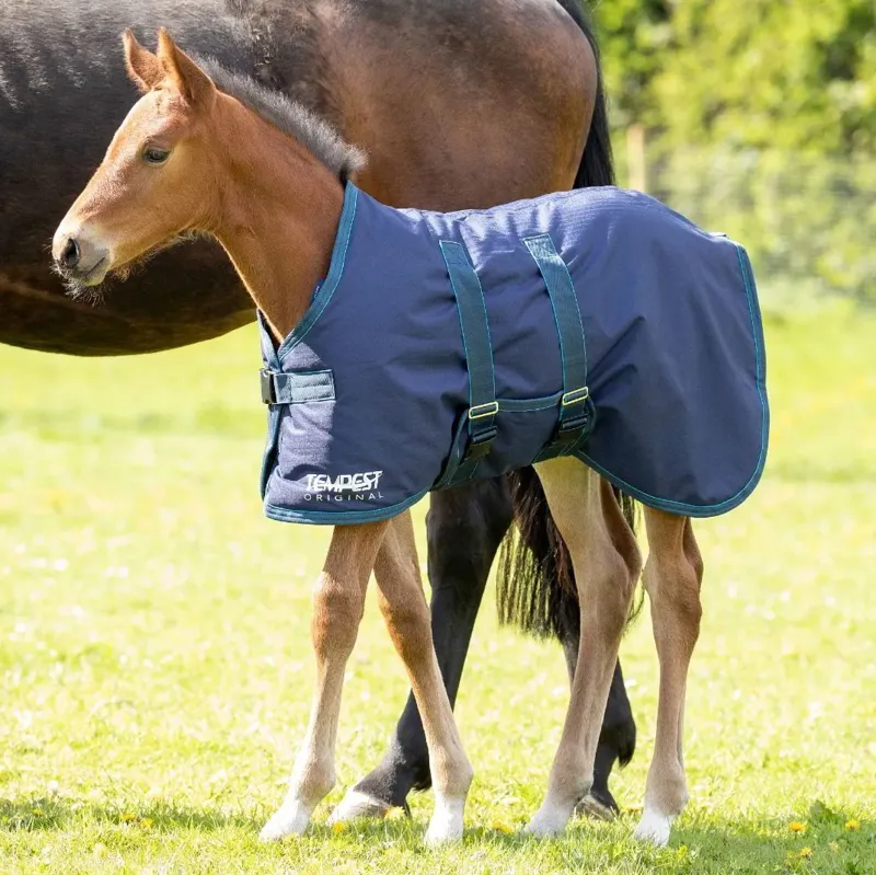 Shires Tempest Original 200 Foal Turnout Blanket - Navy