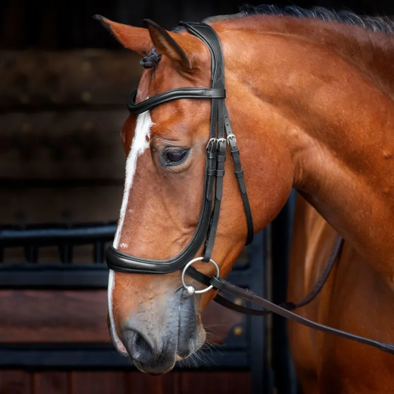 Velociti RAPIDA Ergonomic Cavesson Bridle with Reins - Black-1