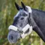 ARMA Performance SupaFleece Halter Fleece Pieces - Natural