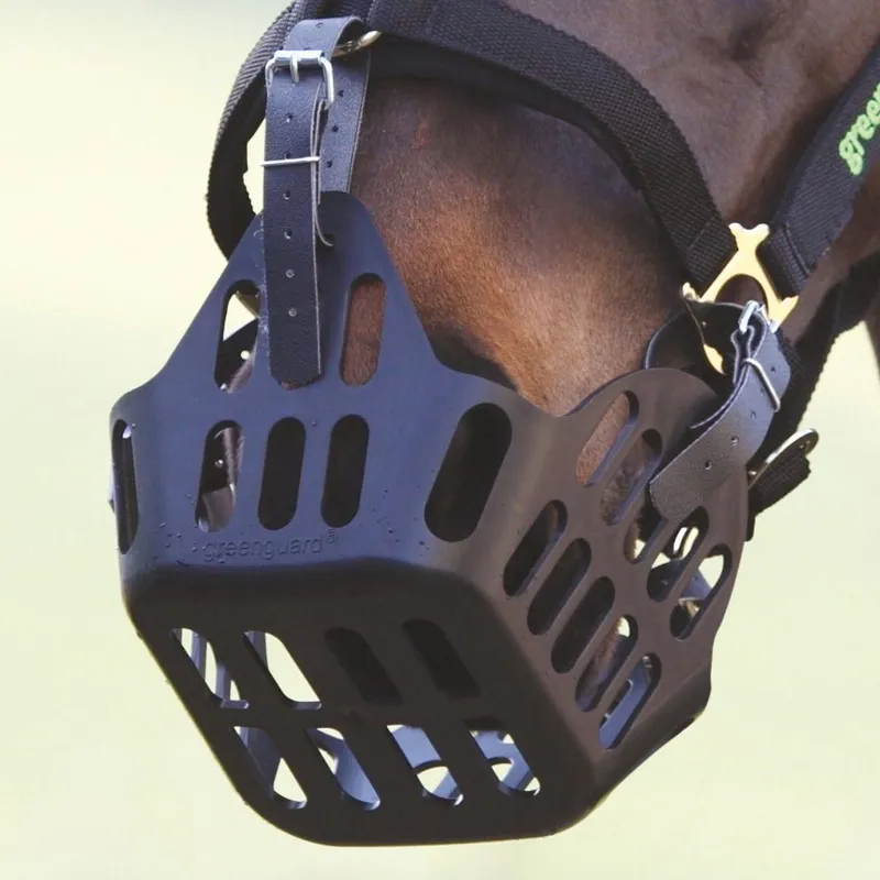 Shires Greenguard Grazing Muzzle