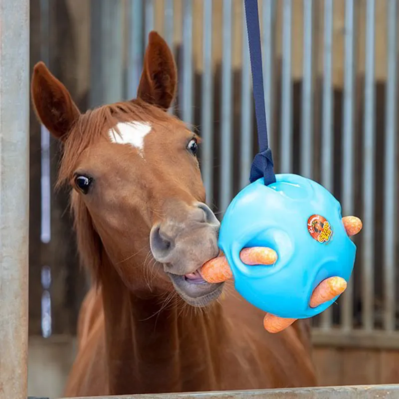 Its Horsome Carrot Ball - Blue