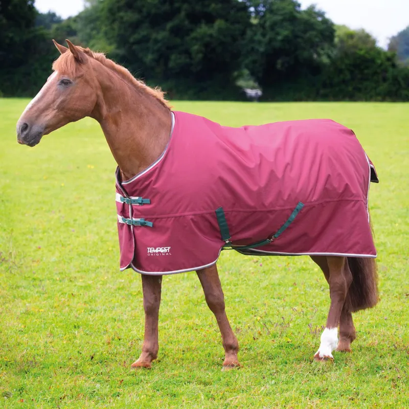 Shires Tempest Original 200g Standard Neck Turnout Blanket - Maroon