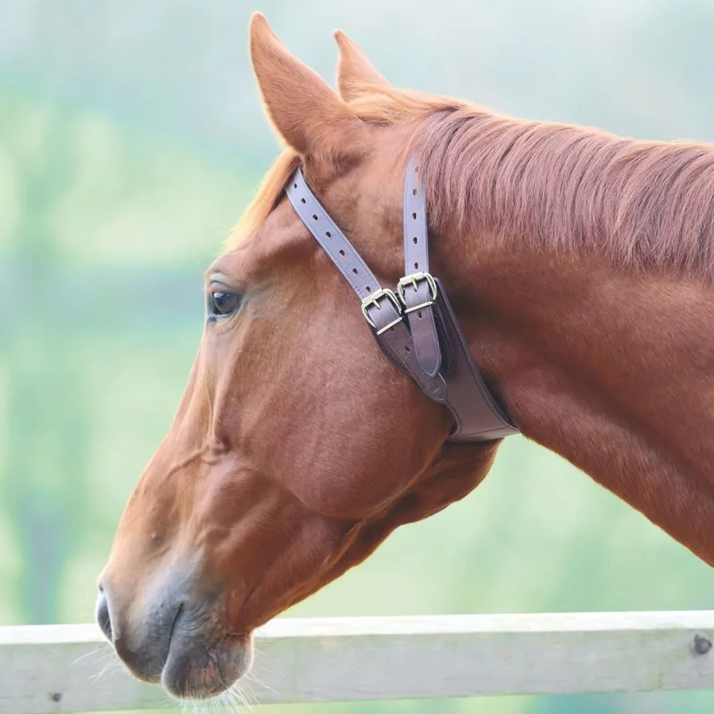 Shires Anti-Cribbing Collar - Australian Nut