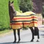 Shires Tempest Original Newmarket Fleece Cooler - Newmarket Stripe