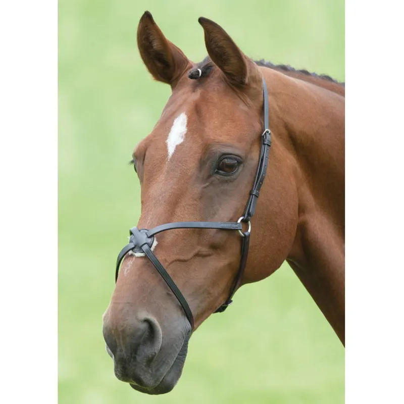 Velociti GARA Mexican Grackle Noseband - Black-1