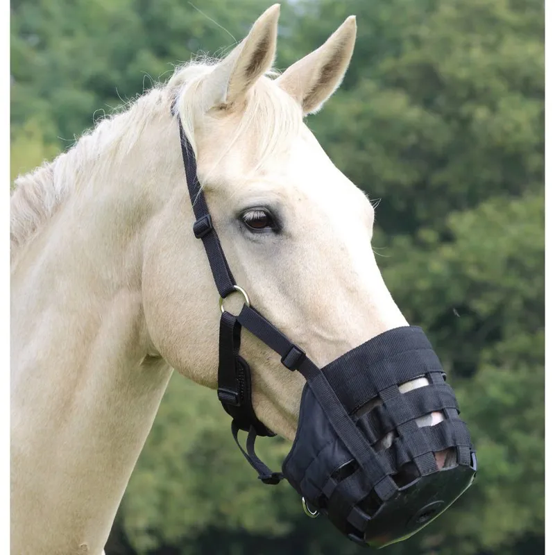 Shires Nylon Grazing Muzzle - Black-1