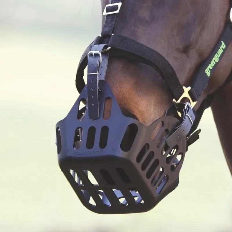 Shires Greenguard Spare Strap-1