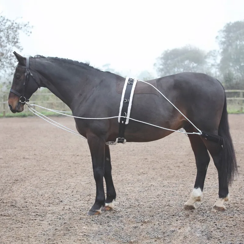 Shires Lunging Training Aid System-Black