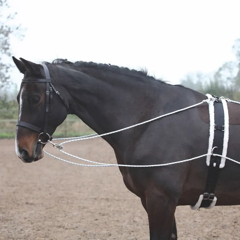Shires Lunging Training Aid System-Black-1