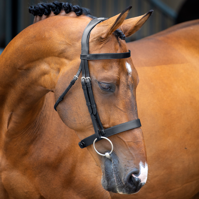 Velociti Lusso Hunter Cavesson Bridle - Black