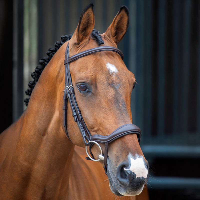 Velociti Lusso Ergonomic Flash Bridle - Havana