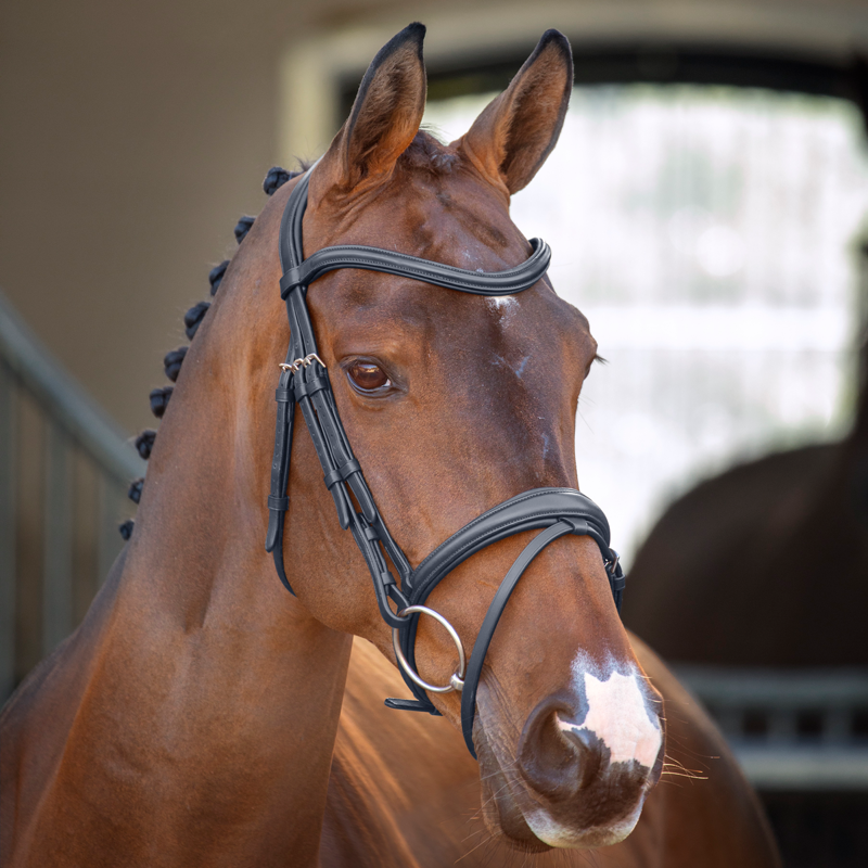 Velociti Lusso Padded Raised Flash Bridle - Black