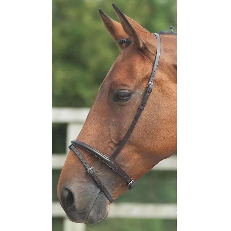 Velociti GARA Flash Noseband - Brown-1