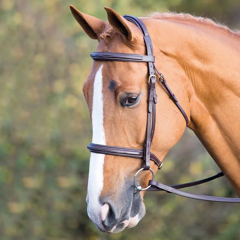 Shires Salisbury Fairford Bridle - Australian Nut-1