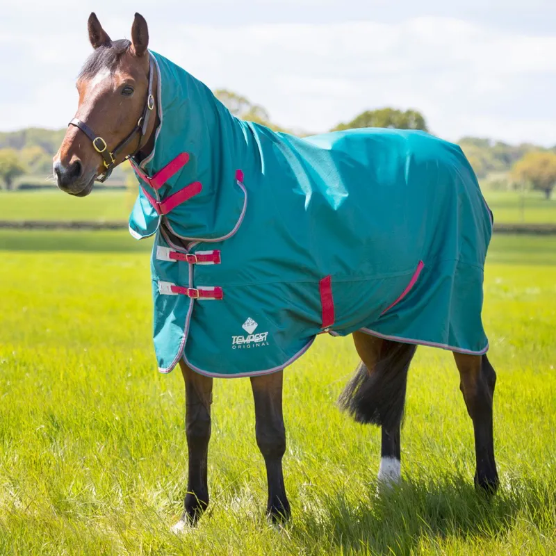 Shires Tempest Original Air Motion 0g Combo Turnout Blanket - Green