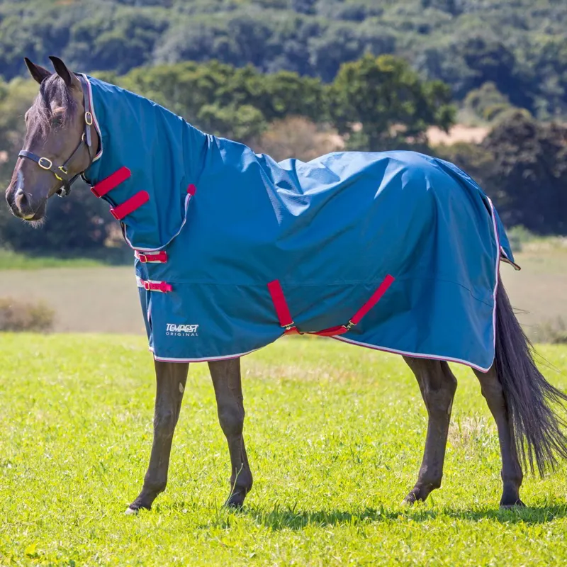 Shires Tempest Original 0g Combo Neck Turnout Blanket - Teal