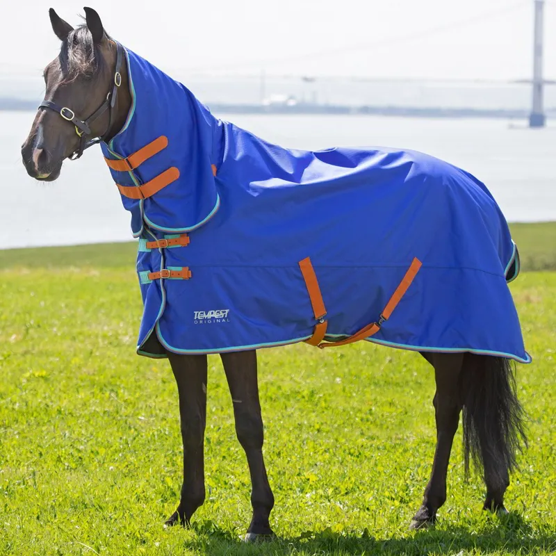 Shires Tempest Original 50g Combo Neck Turnout Blanket - Royal-1