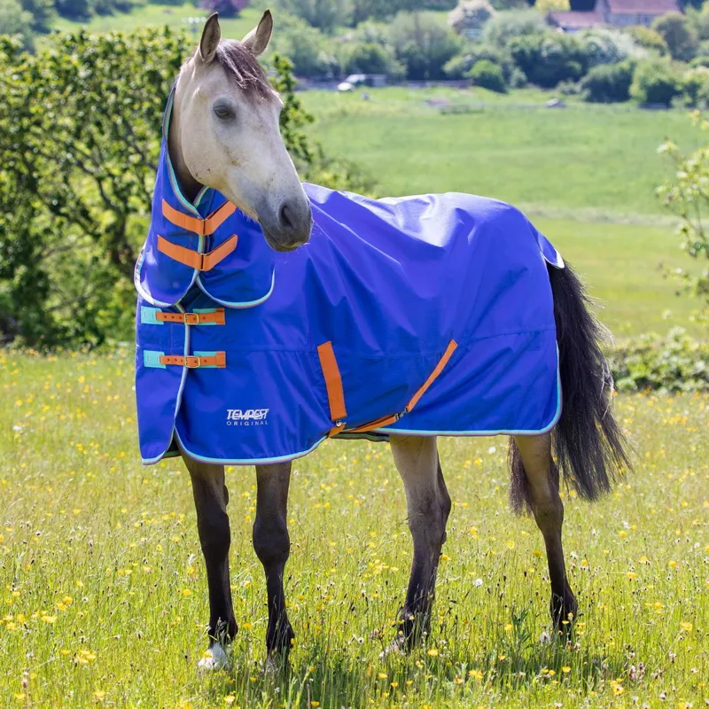 Shires Tempest Original 50g Combo Neck Turnout Blanket - Royal