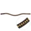 Velociti GARA Large Crystal Browband - Havana/Gold