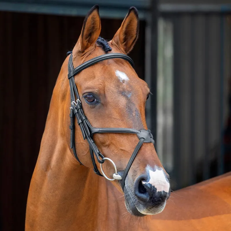 Velociti Lusso Grackle Bridle - Black