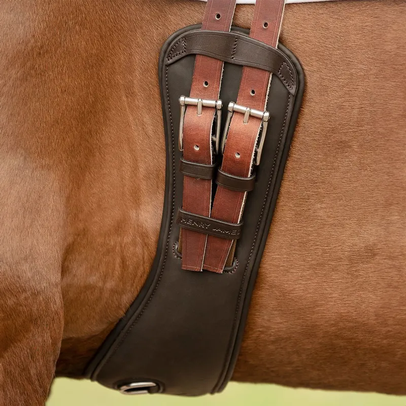 Henry James Freedom Anatomic Short Girth - Havana Brown-4