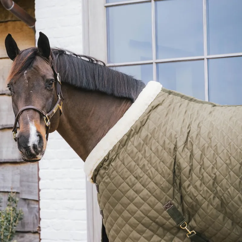 Kentucky 160g Show Blanket - Khaki-5