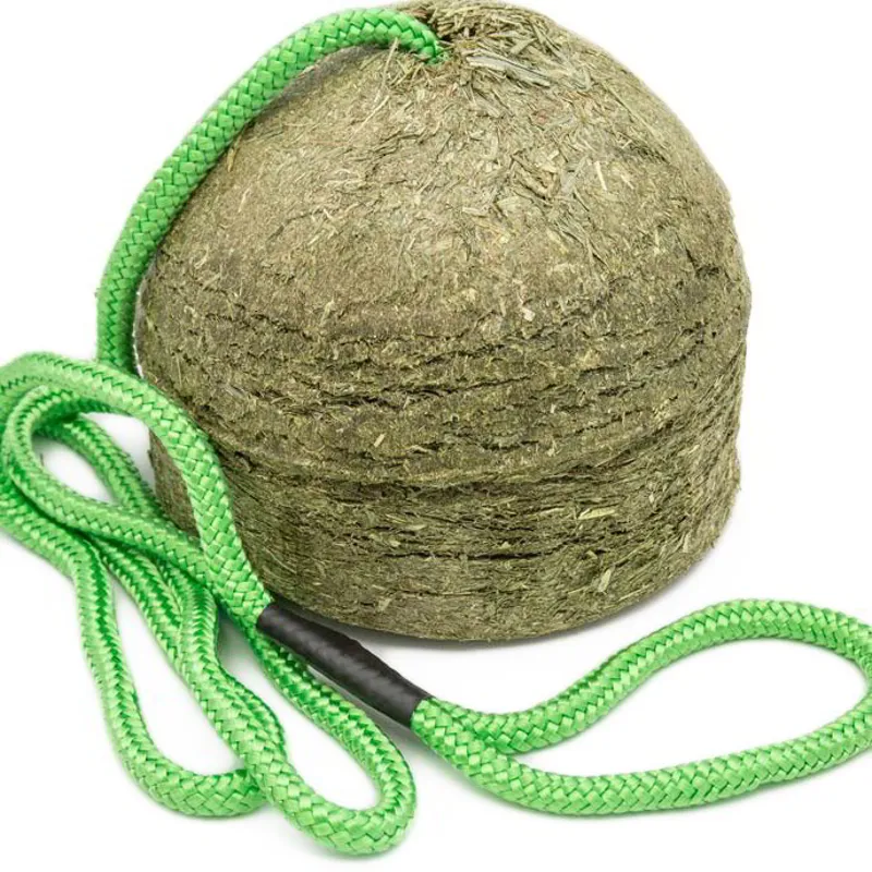 Silvermoor Swingers Hanging Forage Block - Captivating Carrot-1