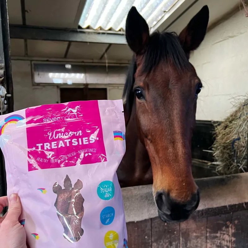 Silvermoor Treatsies Unicorn Horse Treats-2