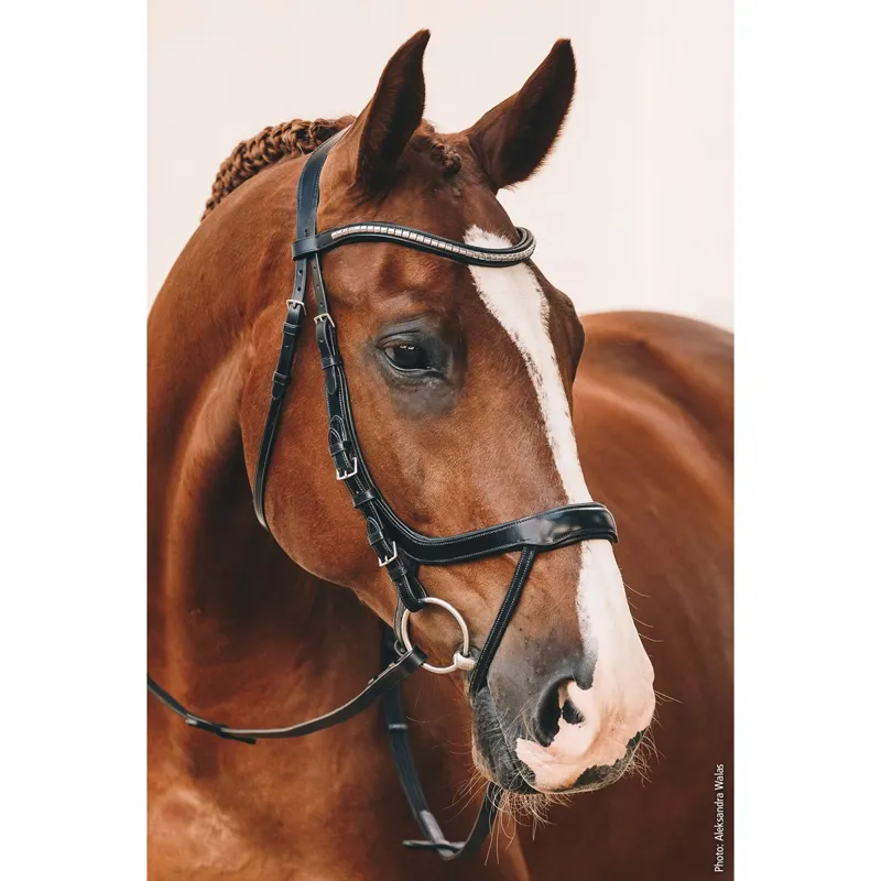 Schockemohle Equitus Omega Anatomic Bridle - Black/Silver-1