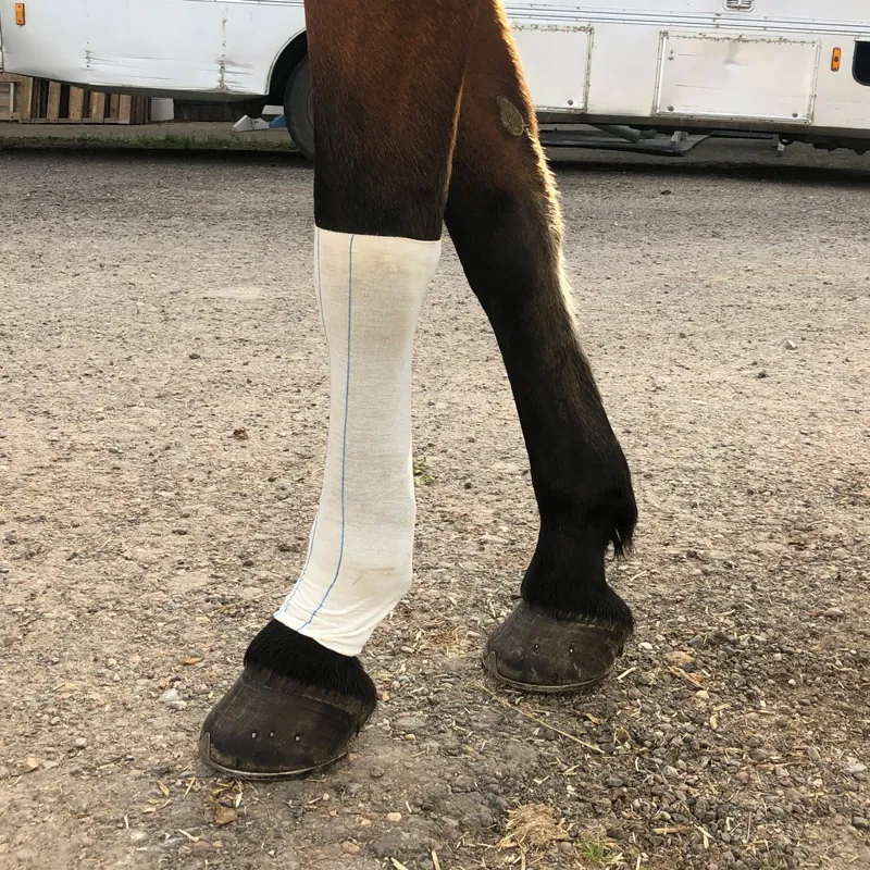 Equi-N-Ice Cold Treatment Ice-Socks-3