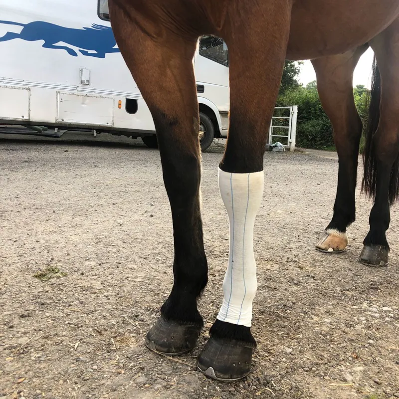 Equi-N-Ice Cold Treatment Ice-Socks-2