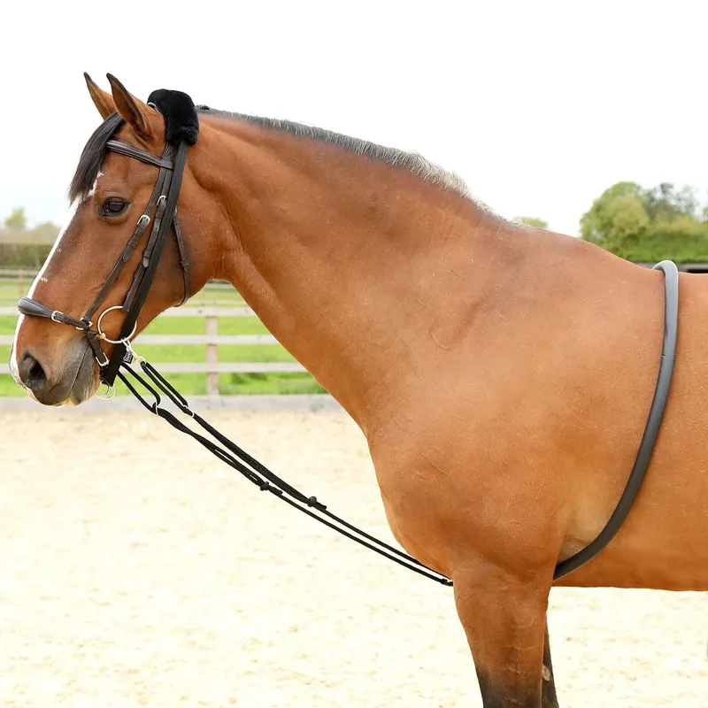 Shires Soft Lunging Aid - Black-2