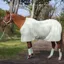Rhinegold Sorbet Fleece Mini Sheet - Green