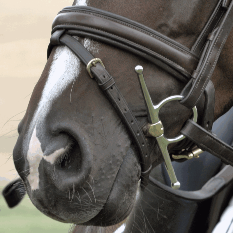Sprenger Dynamic RS Full Cheek Sensogan Snaffle Bit 16mm-3