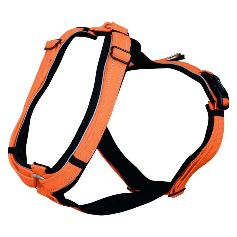 Sprenger Foal Harness - Orange-2