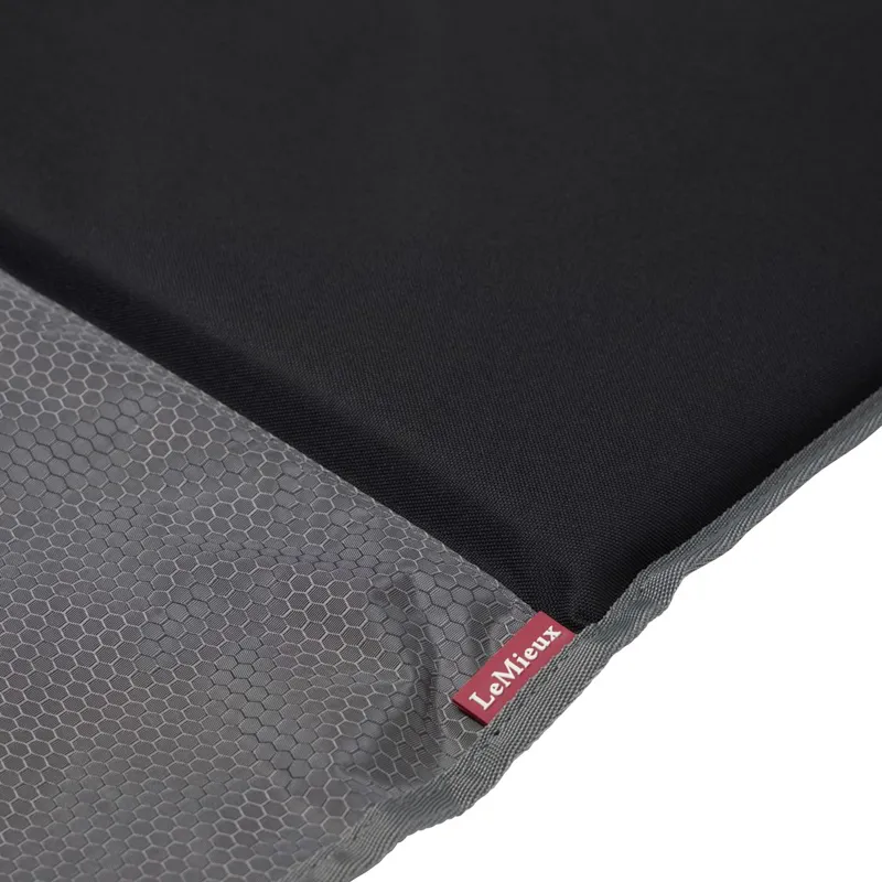 LeMieux Pro Stable Guard - Black-3