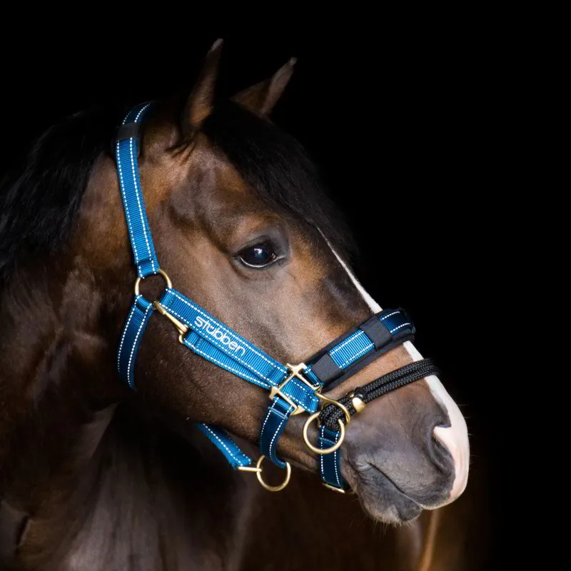 Stubben Padded Memory Foam Crownpiece and Noseband Guards - Black-1