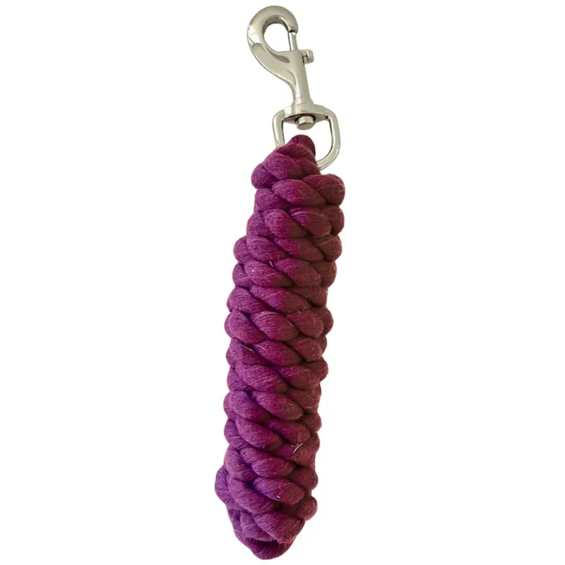 Equilibrium Stellar Lead Rope - Purple