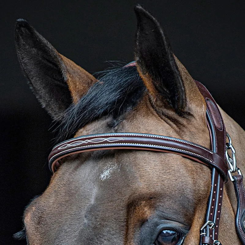 Equiline BB0417 Flat Padded Leather Browband with Stitching - Brown-2