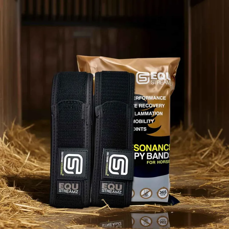 Streamz Global EQU StreamZ Magnetic Horse Bands - Pair-2