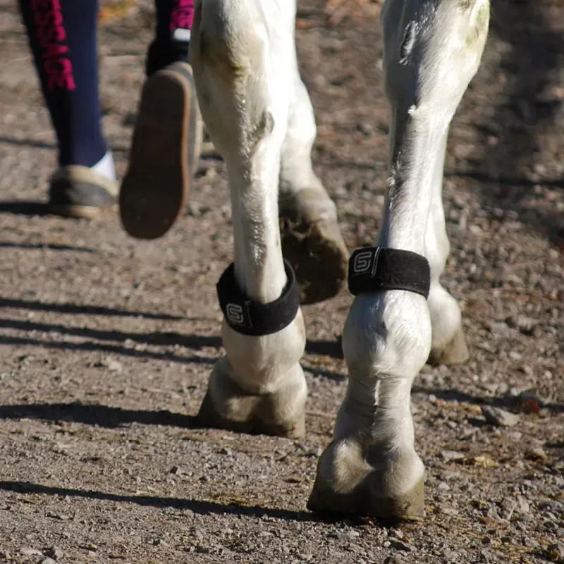 Streamz Global EQU StreamZ Magnetic Horse Bands - Pair-5