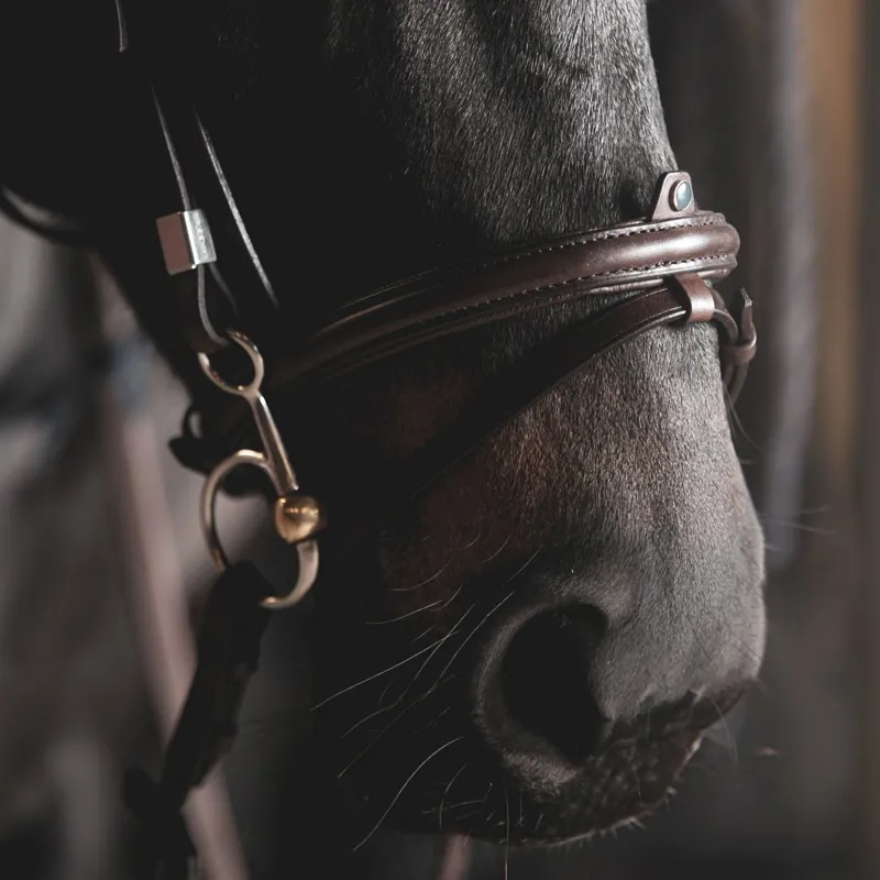 Stubben Leitrim Slide/Lock Flash 2305 Bridle - Ebony Brown-1