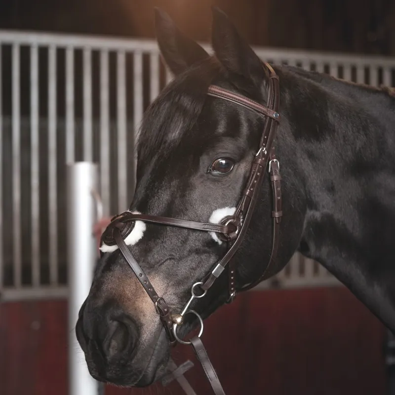 Stubben Leitrim Slide/Lock Mexican 2305 Bridle - Ebony Brown-1