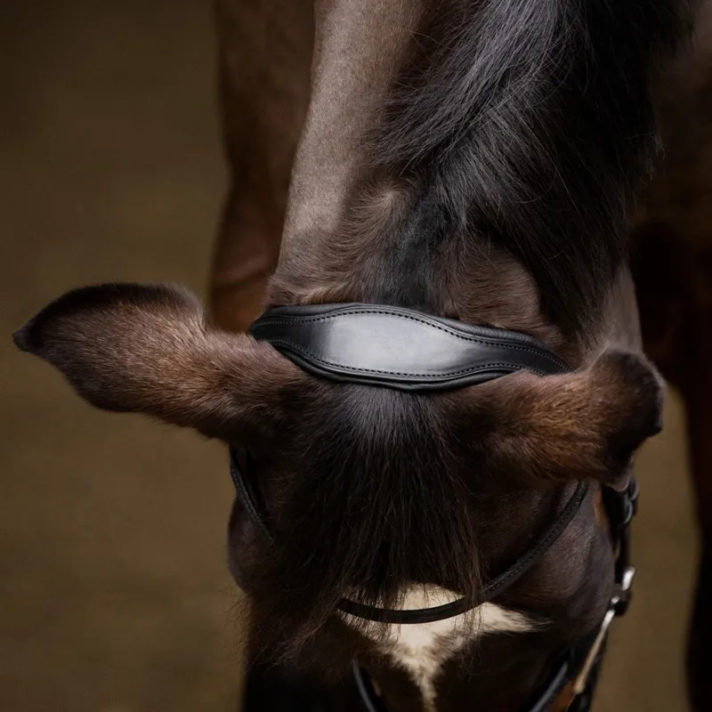 Stubben Sligo Slide/Lock Combined Flash 2705 Bridle - Black-2